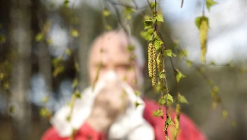 Katu- ja siitepölyallergian hoito